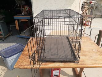 I crate exclusive training system