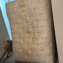Twin Mattress W/ Box Spring And Rails 