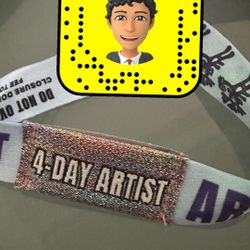lollapalooza(ARTIST BANDS)