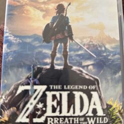 Nintendo Switch Case ONLY