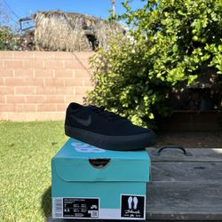 Nike SB Canvas