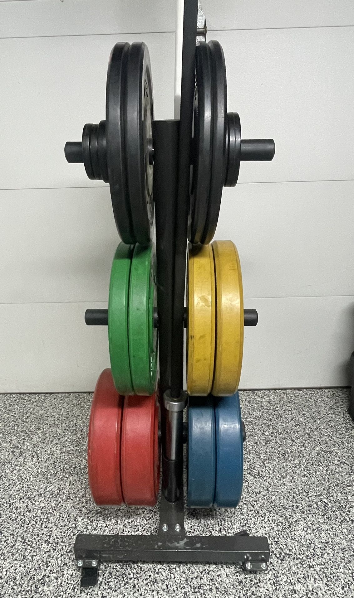Bumper Plate Pendlay- Barbell - Plate Holder