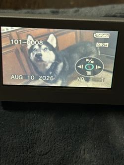 Panasonic Mini DV digital camcorder
