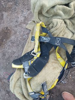 Harness
