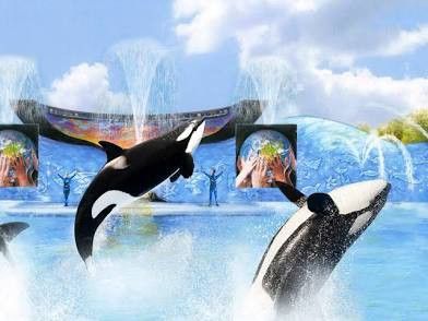 *** Sesame Place ** ### SeaWorld