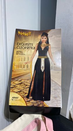 Halloween costume (exquisite Cleopatra)