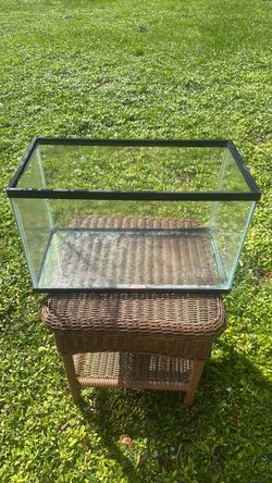 10 gallon fish tank