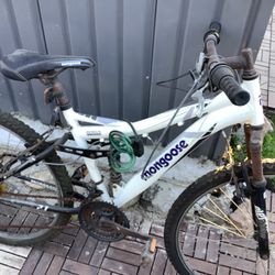 6061 Mongoose Aluminum Bicycle