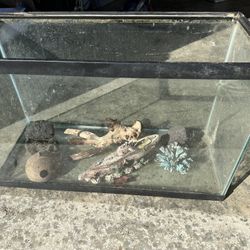 20 Gallon Fish Tank Driftwood And Lava Rocks