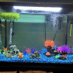 Fish Tank And Tank Decor 