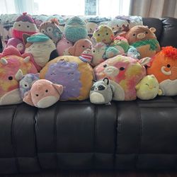 Squishmallow Bundle