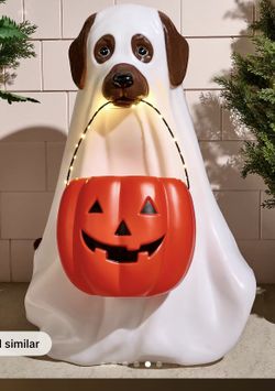 TikTok ghost dog