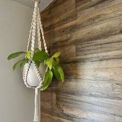 Macrame Plant Hanger