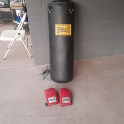 Punching Bag And Gloves