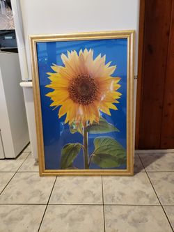 Framed Poster