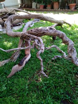 Natural Driftwood for aquariums terrariums decor etc