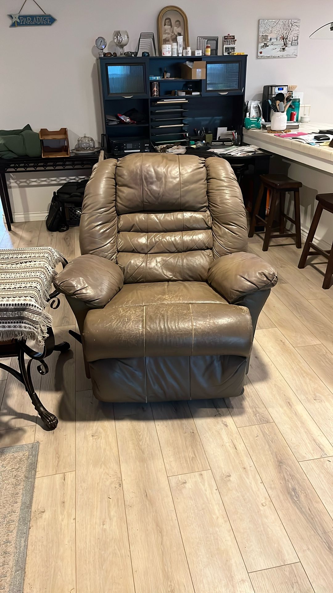 Leather Recliner