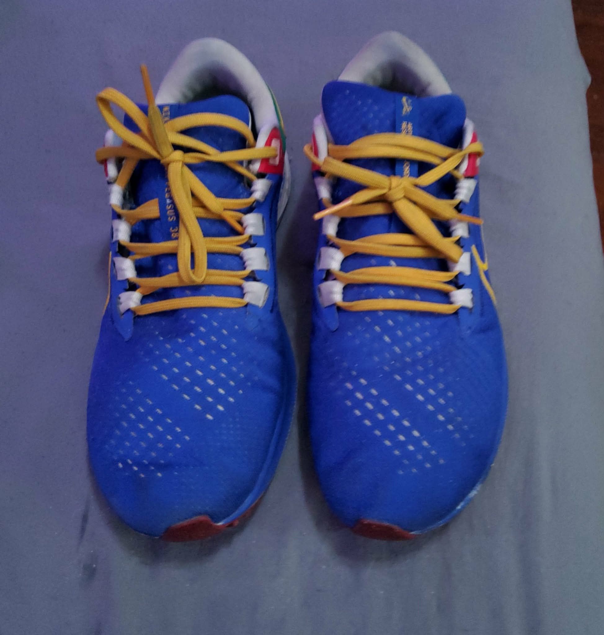 Nike Pegasus