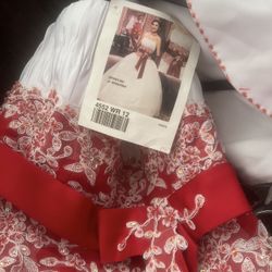 Quinceanera Dress Size 12