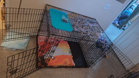 Large Dog Accessories