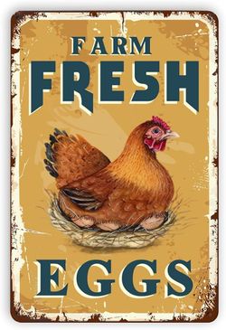 Fresh Eggs