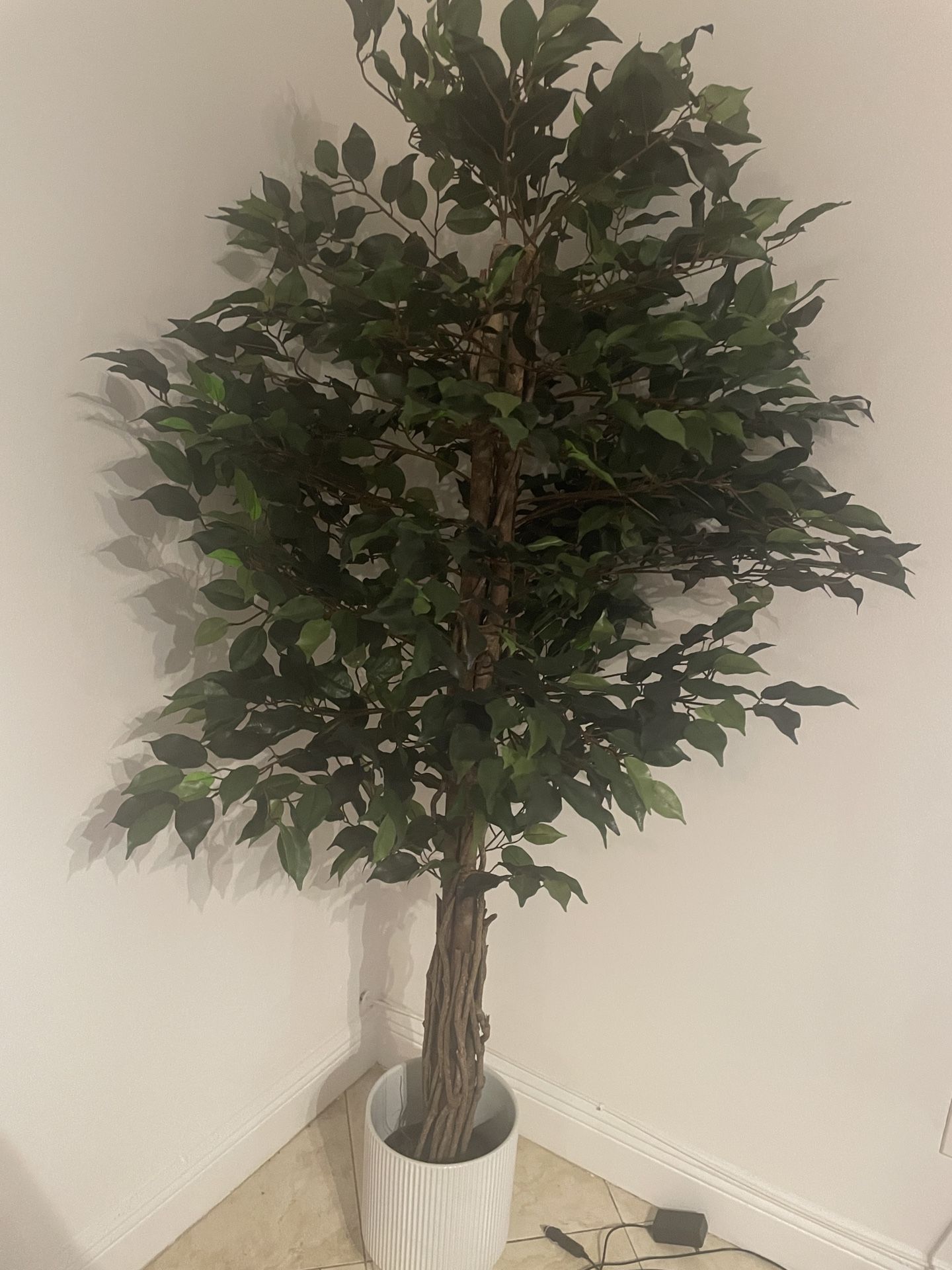 Fake House Plant