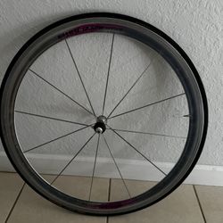700C Campagnolo Shamal 12-HPW Titanium Front Wheel,