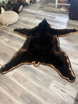 Black Bear Rug Taxidermy With Head