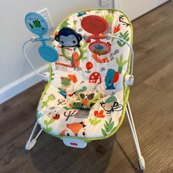 Fisher Price Baby Bouncer