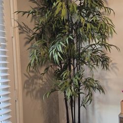 Arficial Bamboo Plant In A Black Planter