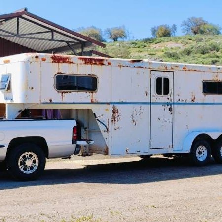 Gooseneck 2h Horse Trailer