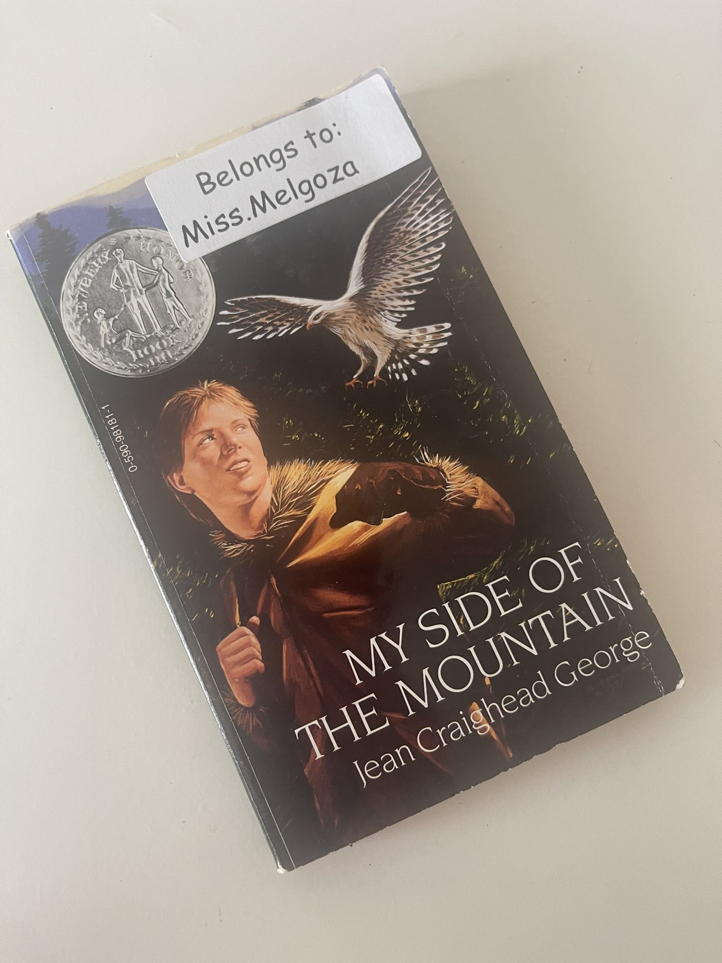 My Side Of The Mountain By Jean Craighead George Paperback