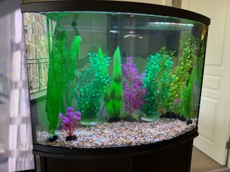 Full Set Aquarium