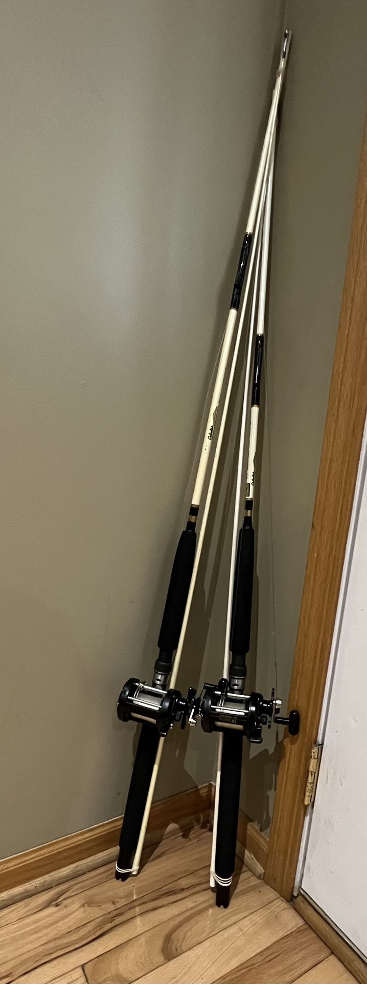 Trolling rods and reels combo, salmon fishing gear