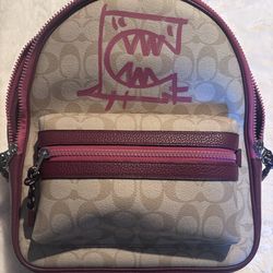 Coach Vale Medium Charlie Backpack