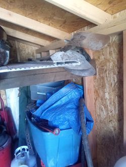 Concrete vibrator, shovels