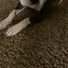 Tim