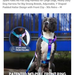 Dog Harness Large/XL