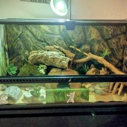 50-55 Gallon Terrarium 
