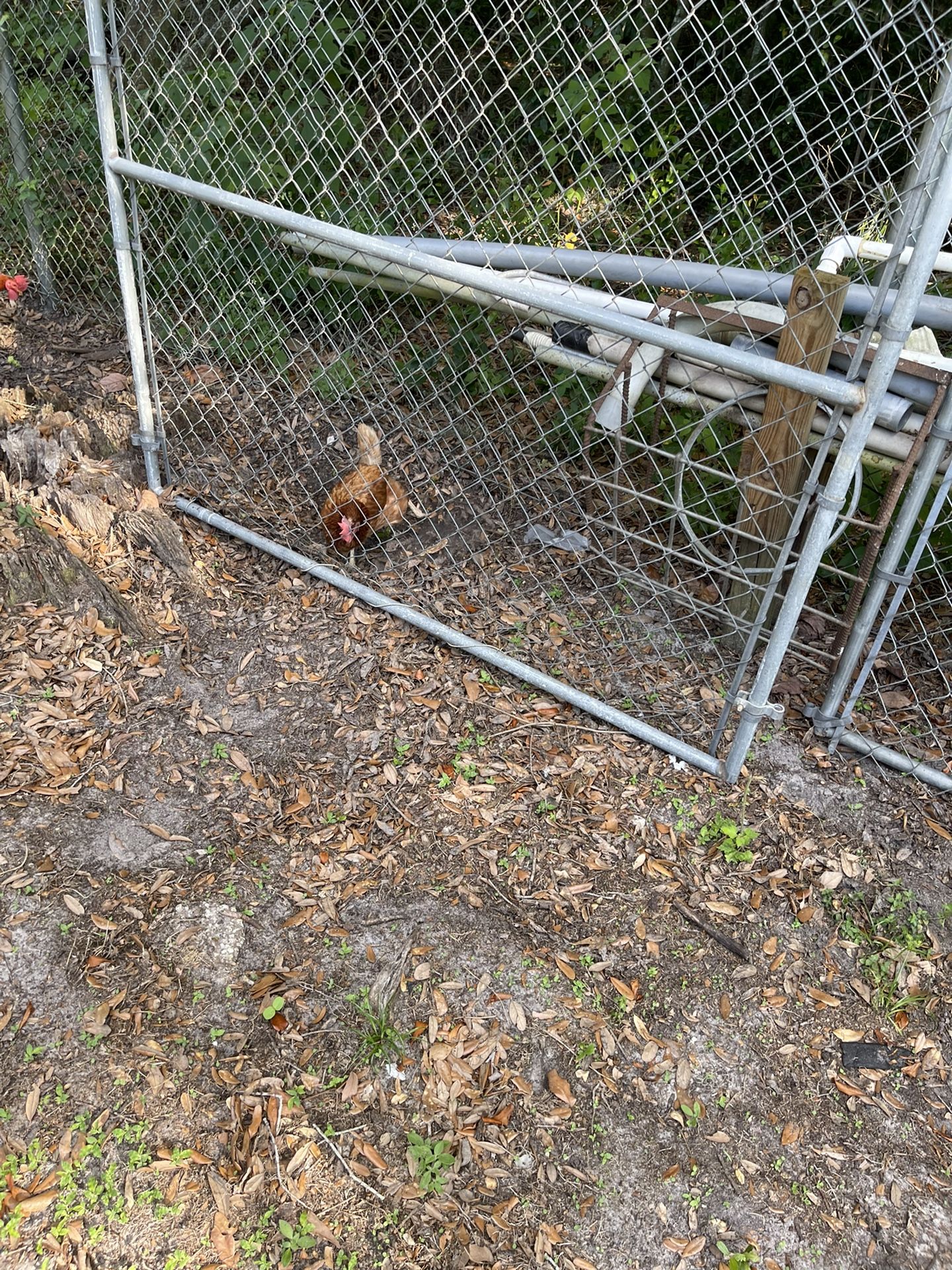 Cyclone Fence Gates