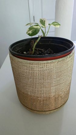 Gold checkered pot