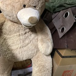 Teddy Bear, Life Size from Costco