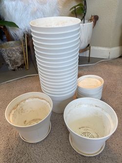 Planter pots plastic 6”