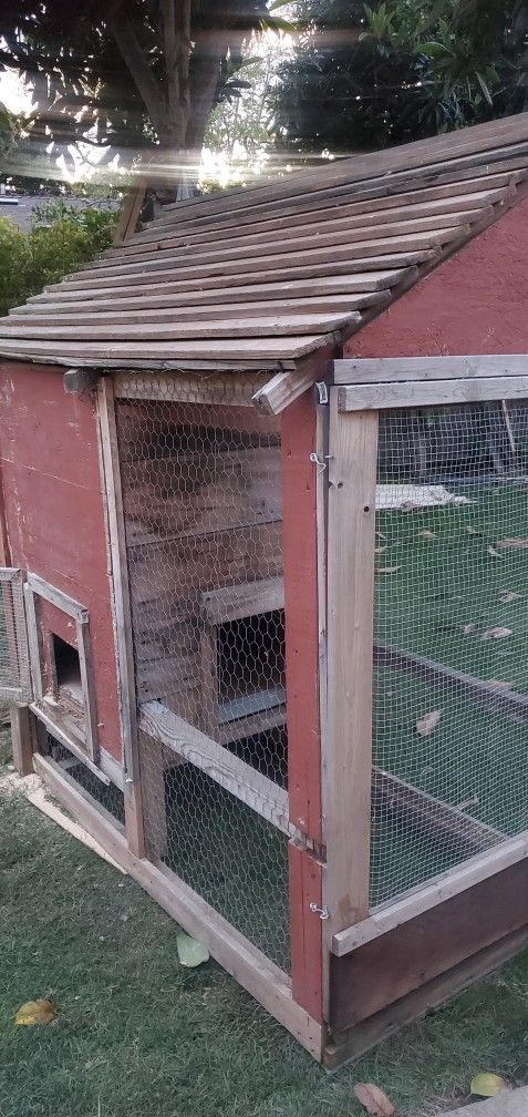 Chicken Coupe