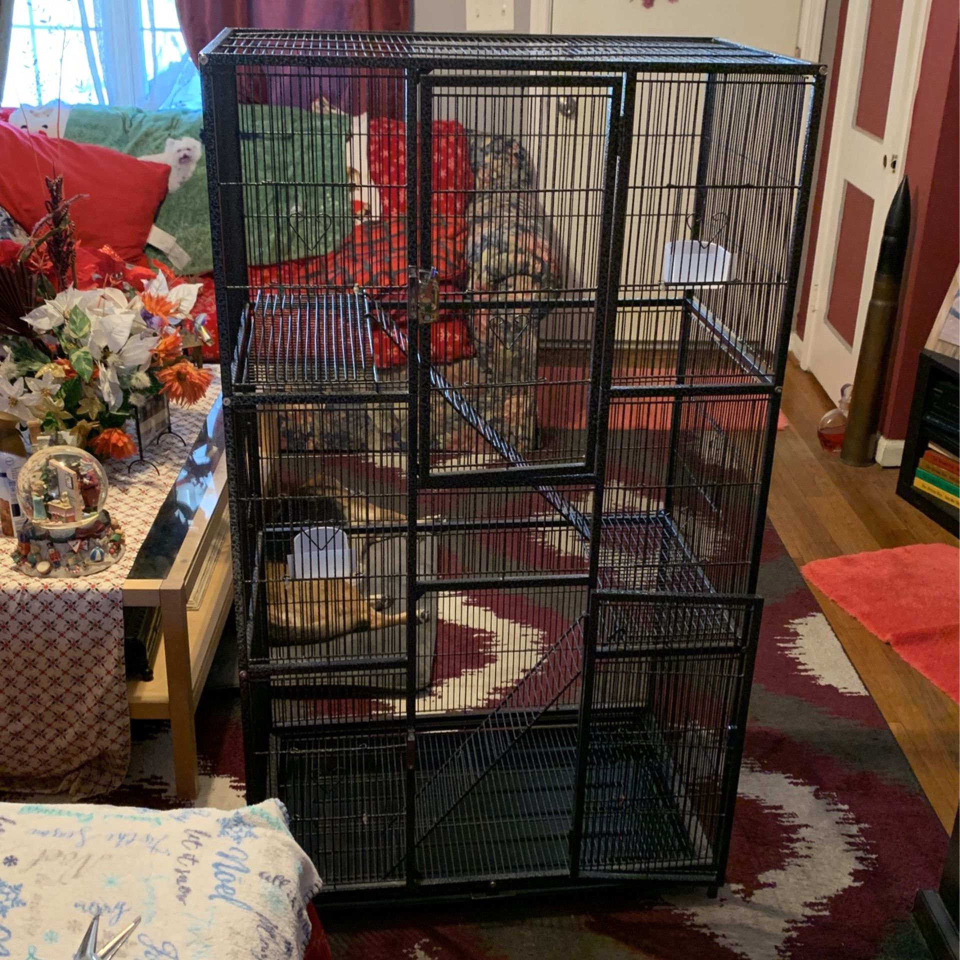Bird Cage Or Small Animal