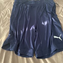 New Puma Shorts