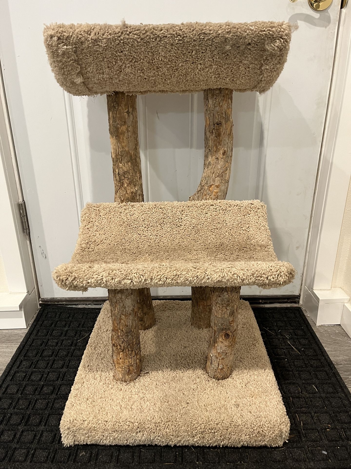 Cat Scratch and Hangout 