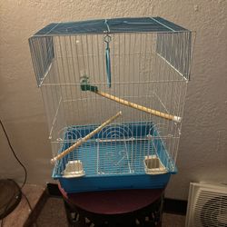 Bird Cage