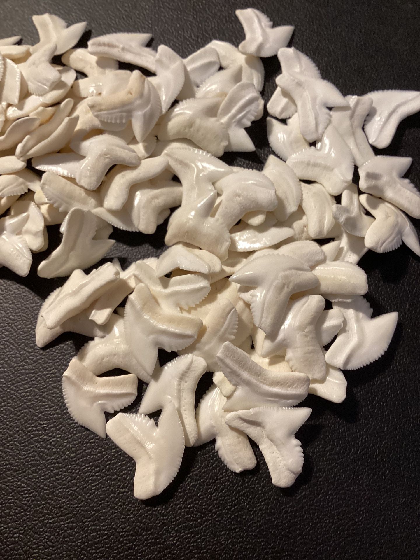 Tigershark Teeth