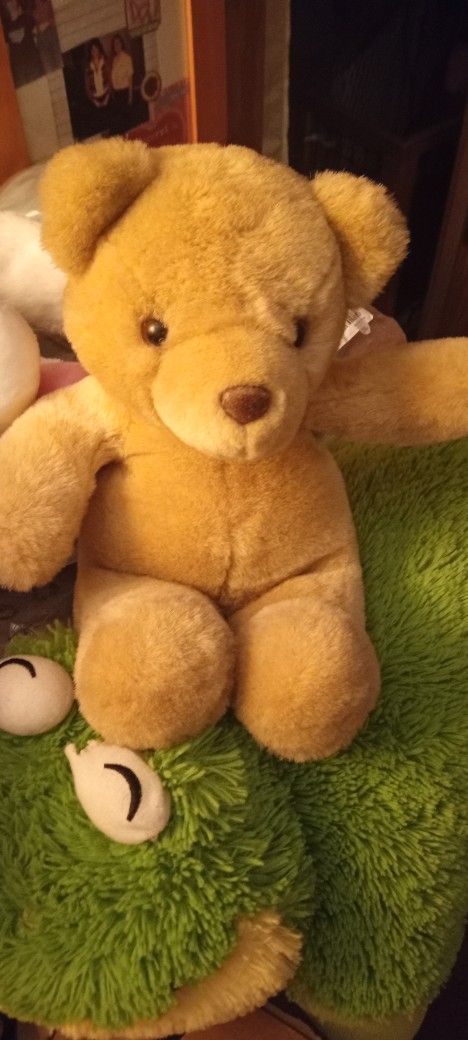 Teddy Bear